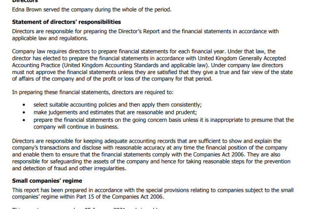 accounts directors report